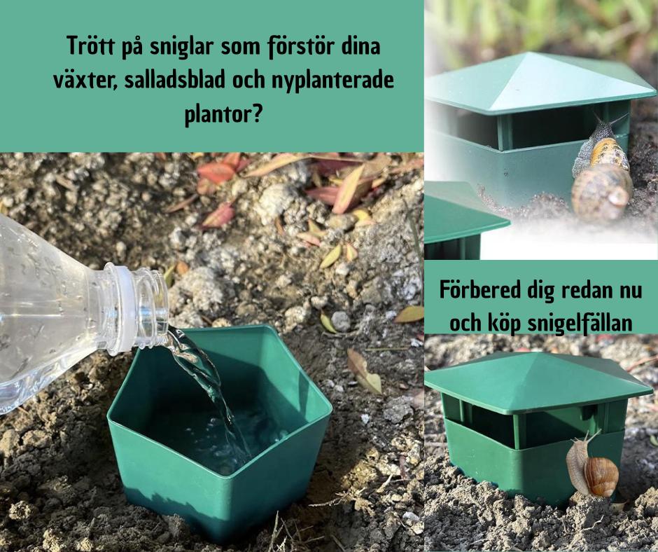 Snigelfälla - effektiv och enkel lösning för din trädgård