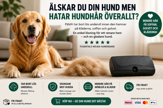 Slipp hundhår i hela hemmet