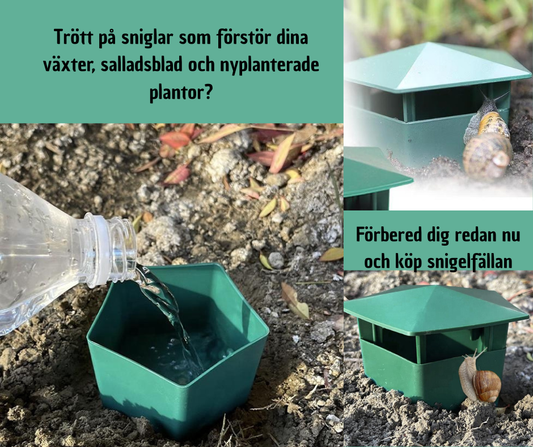 Snigelfälla - effektiv och enkel lösning för din trädgård